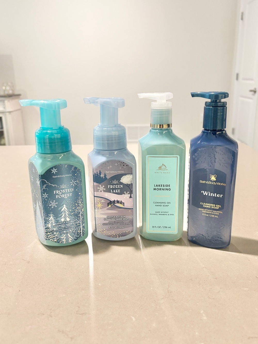 Bath & Body Works Winter Hand Soap Bundle 4pc New Frosted Frozen